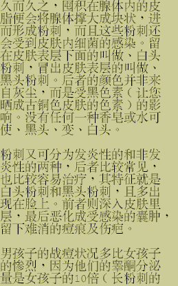 acne_chn_2.gif (18156 bytes)