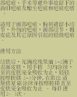 scar_chn_4.gif (11024 bytes)